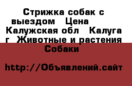 Стрижка собак с выездом › Цена ­ 200 - Калужская обл., Калуга г. Животные и растения » Собаки   